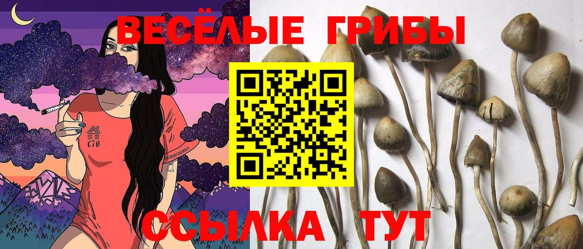 Псилоцибиновые грибы MAGIC MUSHROOMS Новотроицк