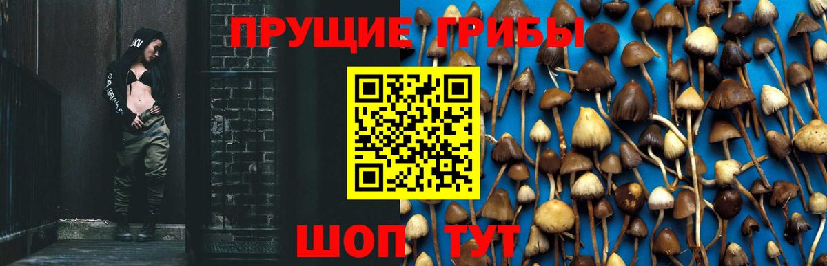 Галлюциногенные грибы MAGIC MUSHROOMS  Вход с VPN  Галлюциногенные грибы прущие грибы  Новотроицк 
